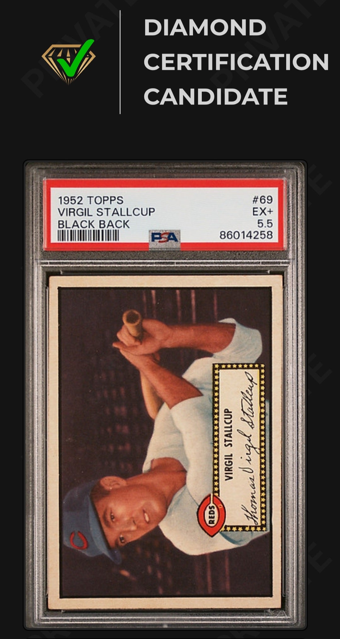 1952 Topps Virgil Stallcup #69 Black Back PSA 5.5 MBA candidate