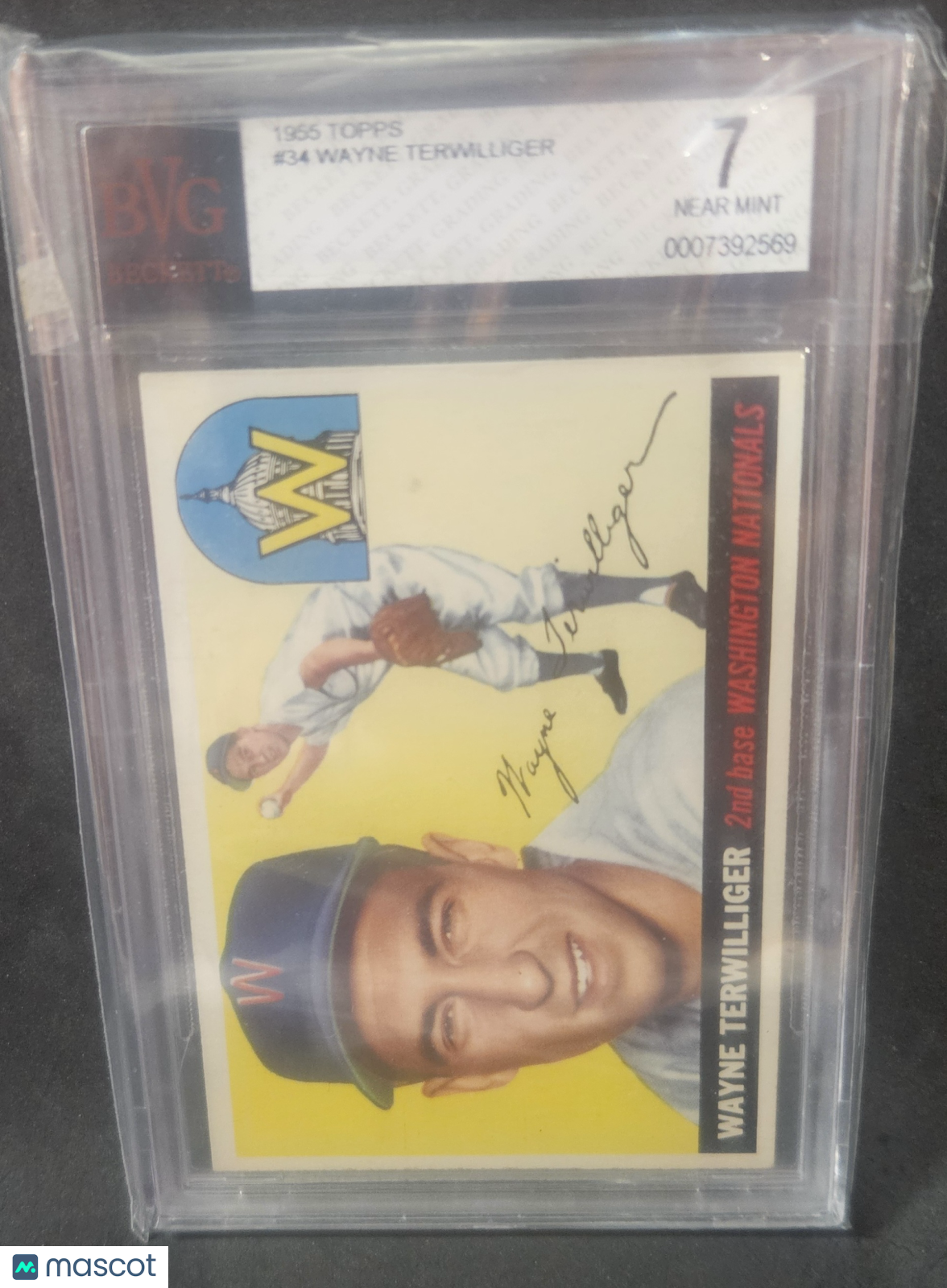 1955 Topps Wayne Terwilliger #34 BVG 7