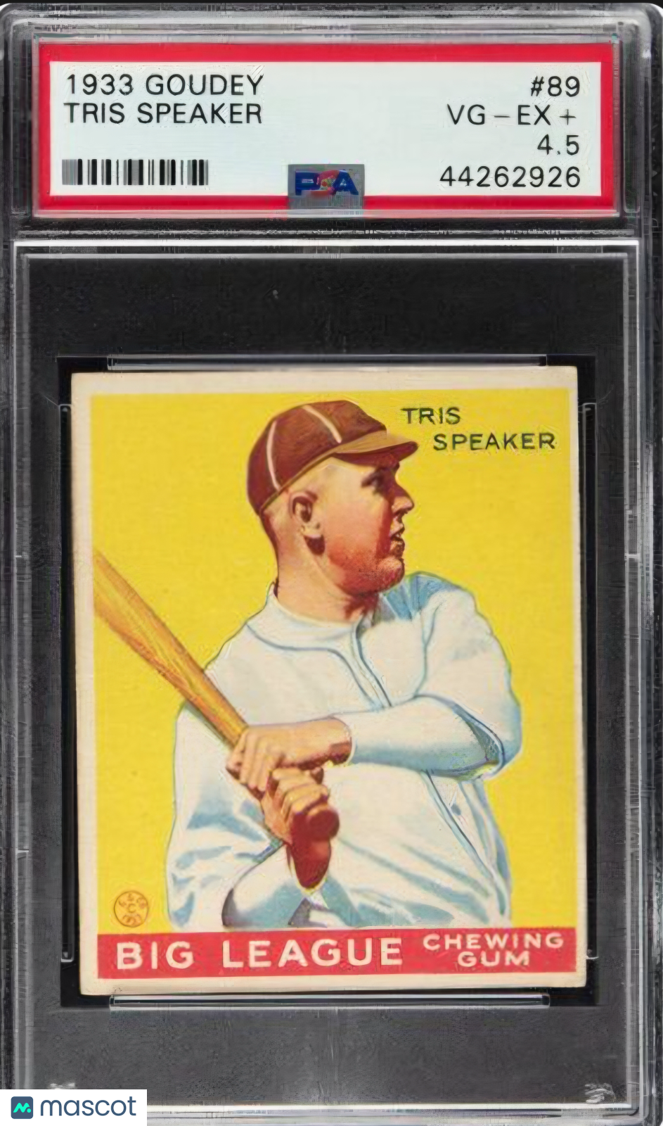 1933 Goudey Tris Speaker #89 PSA 4.5