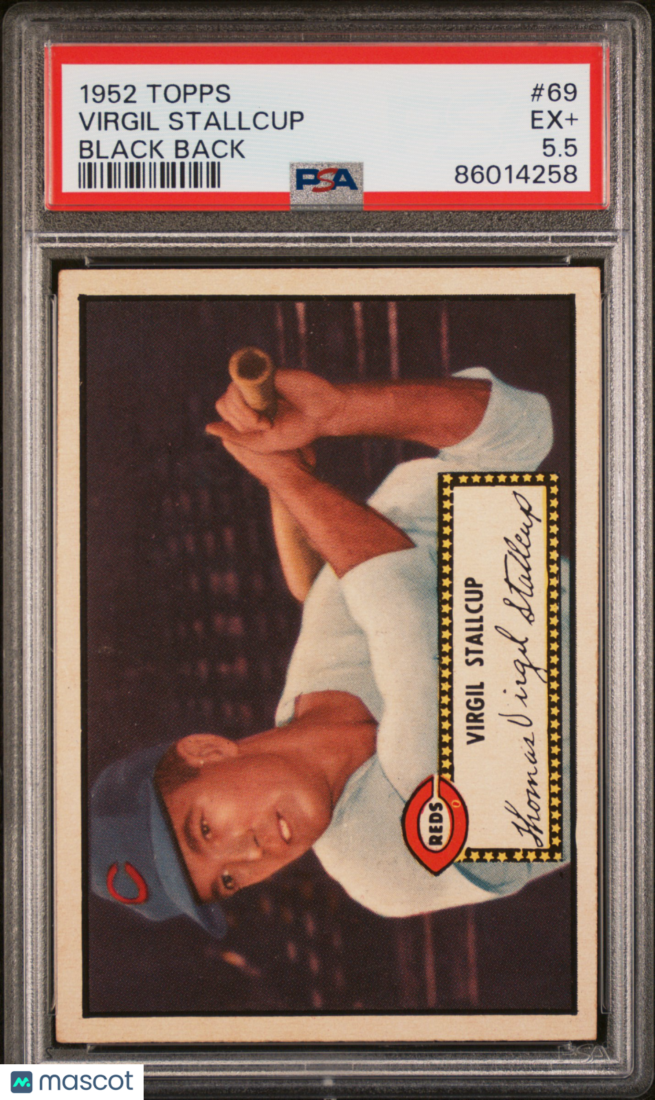 1952 Topps Virgil Stallcup #69 Black Back PSA 5.5 MBA candidate